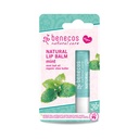 Benecos Natural Vegan Lip Balm Mint 4,8g